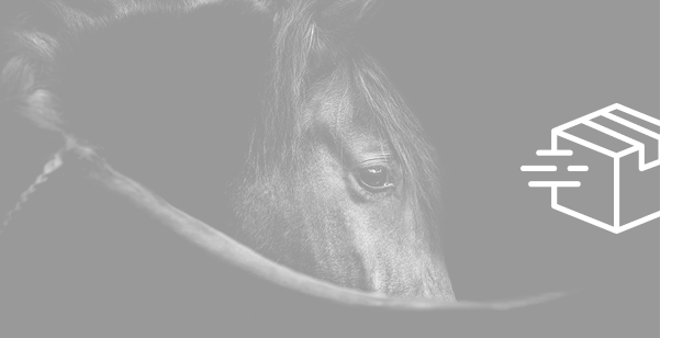 Versandkostenfrei Banner